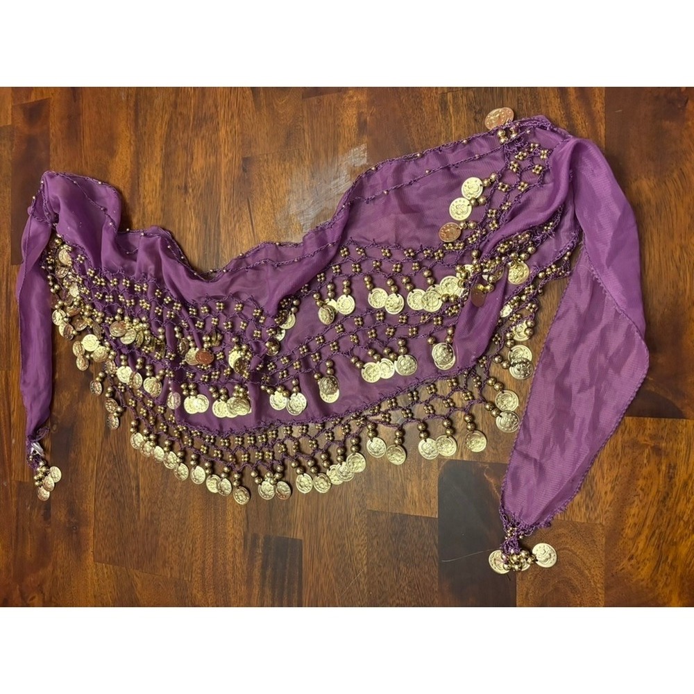 Purple Belly Dance Coin Hip‎ Scarf Gold Beaded Chiffon Performance Belt